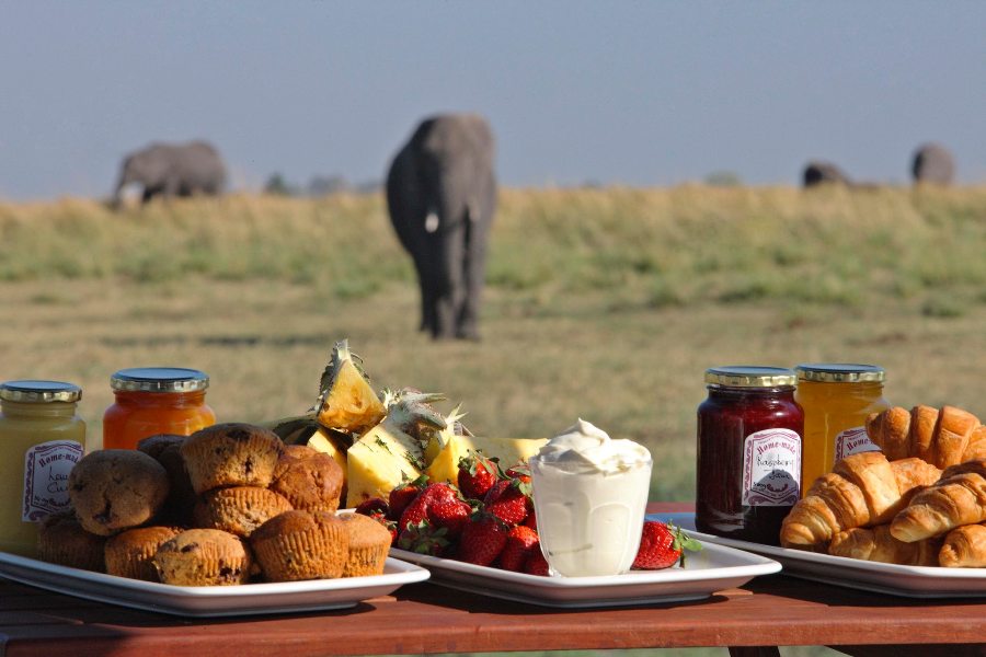Breakfast in the Bushveld